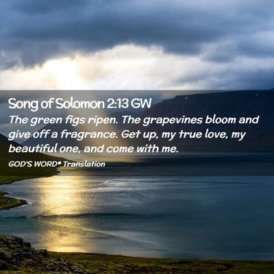 Picture 02 - Song of Solomon 2:13 GW - The green figs ripen. The grapevines bloom and - Bible Verse Picture