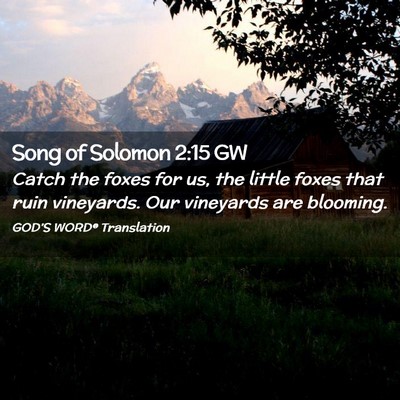 Picture 02 - Song of Solomon 2:15 GW - Catch the foxes for us, the little foxes that - Bible Verse Picture