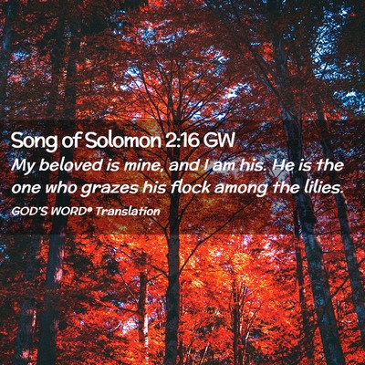 Picture 02 - Song of Solomon 2:16 GW - My beloved is mine, and I am his. He is the one - Bible Verse Picture