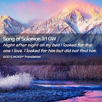Picture 02 - Song of Solomon 3:1 GW - Night after night on my bed I looked for the one - Bible Verse Picture