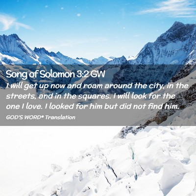 Picture 02 - Song of Solomon 3:2 GW - I will get up now and roam around the city, in - Bible Verse Picture