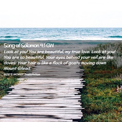 Picture 02 - Song of Solomon 4:1 GW - Look at you! You are beautiful, my true love. - Bible Verse Picture
