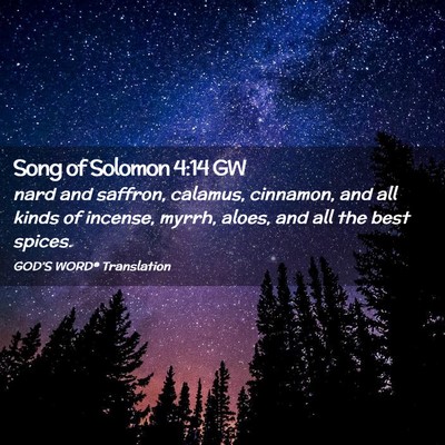 Picture 02 - Song of Solomon 4:14 GW - nard and saffron, calamus, cinnamon, and all - Bible Verse Picture
