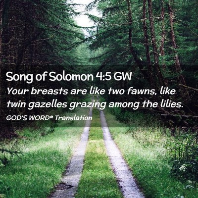 Picture 02 - Song of Solomon 4:5 GW - Your breasts are like two fawns, like twin - Bible Verse Picture