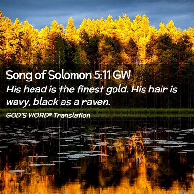 Picture 02 - Song of Solomon 5:11 GW - His head is the finest gold. His hair is wavy, - Bible Verse Picture