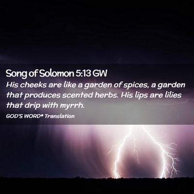 Picture 02 - Song of Solomon 5:13 GW - His cheeks are like a garden of spices, a garden - Bible Verse Picture