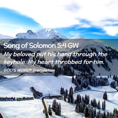 Picture 02 - Song of Solomon 5:4 GW - My beloved put his hand through the keyhole. My - Bible Verse Picture