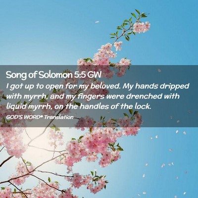 Picture 02 - Song of Solomon 5:5 GW - I got up to open for my beloved. My hands dripped - Bible Verse Picture