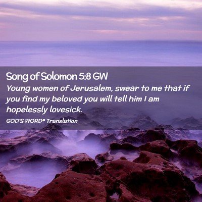 Picture 02 - Song of Solomon 5:8 GW - Young women of Jerusalem, swear to me that if you - Bible Verse Picture