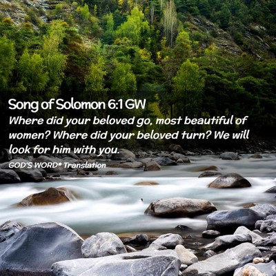 Picture 02 - Song of Solomon 6:1 GW - Where did your beloved go, most beautiful of - Bible Verse Picture
