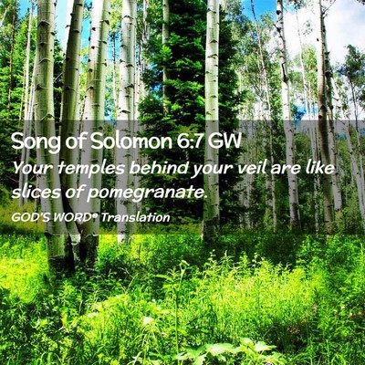 Picture 02 - Song of Solomon 6:7 GW - Your temples behind your veil are like slices of - Bible Verse Picture
