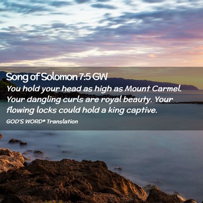 Picture 02 - Song of Solomon 7:5 GW - You hold your head as high as Mount Carmel. Your - Bible Verse Picture