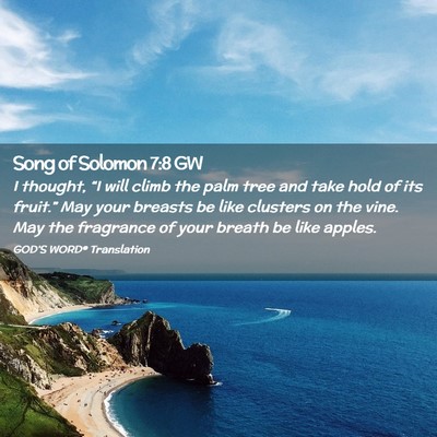 Picture 02 - Song of Solomon 7:8 GW - I thought, “I will climb the palm tree and take - Bible Verse Picture
