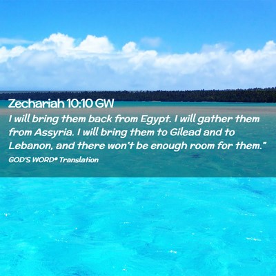 Picture 02 - Zechariah 10:10 GW - I will bring them back from Egypt. I will gather - Bible Verse Picture