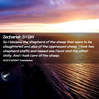 Picture 02 - Zechariah 11:7 GW - So I became the shepherd of the sheep that were - Bible Verse Picture