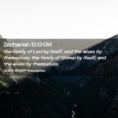 Picture 02 - Zechariah 12:13 GW - the family of Levi by itself, and the wives by - Bible Verse Picture
