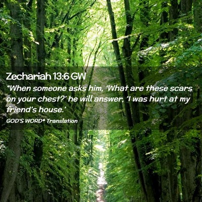 Picture 02 - Zechariah 13:6 GW - “When someone asks him, ‘What are these scars - Bible Verse Picture
