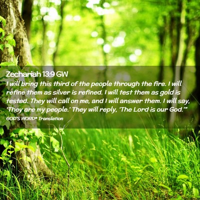 Picture 02 - Zechariah 13:9 GW - I will bring this third of the people through the - Bible Verse Picture