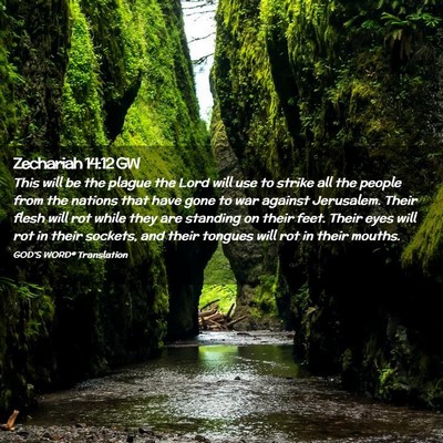 Picture 02 - Zechariah 14:12 GW - This will be the plague the Lord will use to - Bible Verse Picture