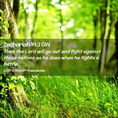 Picture 02 - Zechariah 14:3 GW - Then the Lord will go out and fight against those - Bible Verse Picture