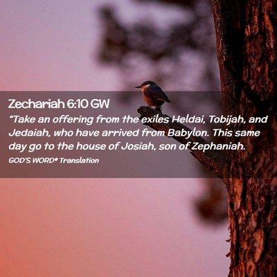 Picture 02 - Zechariah 6:10 GW - “Take an offering from the exiles Heldai, - Bible Verse Picture