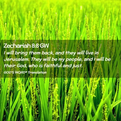 Picture 02 - Zechariah 8:8 GW - I will bring them back, and they will live in - Bible Verse Picture