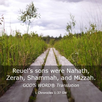 Picture 03 - 1 Chronicles 1:37 GW - Reuel’s sons were Nahath, Zerah, Shammah, and - Bible Verse Picture