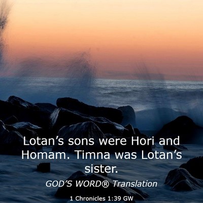Picture 03 - 1 Chronicles 1:39 GW - Lotan’s sons were Hori and Homam. Timna was - Bible Verse Picture