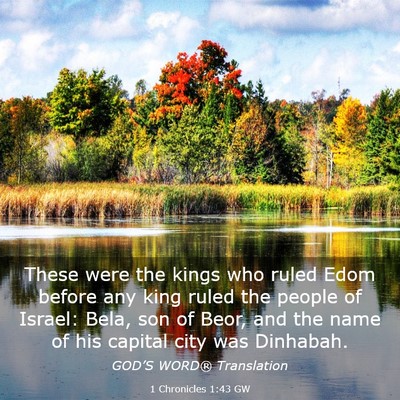 Picture 03 - 1 Chronicles 1:43 GW - These were the kings who ruled Edom before any - Bible Verse Picture