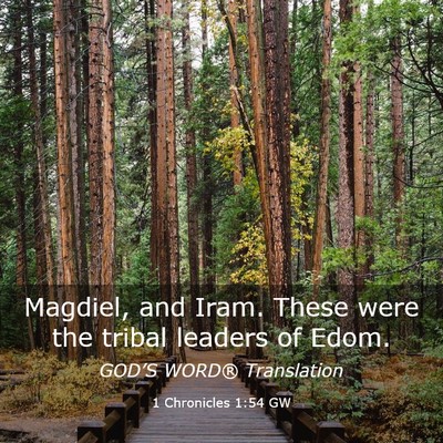 Picture 03 - 1 Chronicles 1:54 GW - Magdiel, and Iram. These were the tribal leaders - Bible Verse Picture
