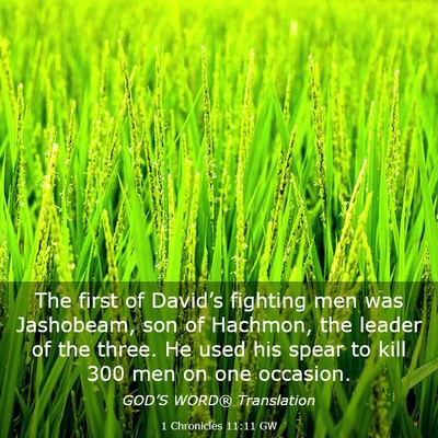 Picture 03 - 1 Chronicles 11:11 GW - The first of David’s fighting men was - Bible Verse Picture