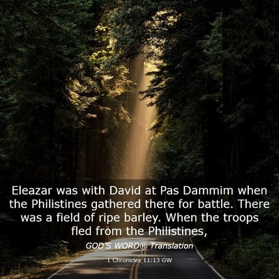Picture 03 - 1 Chronicles 11:13 GW - Eleazar was with David at Pas Dammim when the - Bible Verse Picture