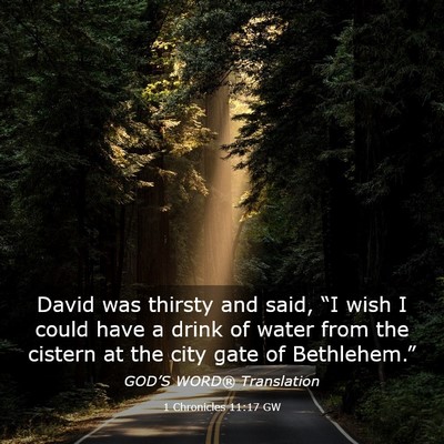 Picture 03 - 1 Chronicles 11:17 GW - David was thirsty and said, “I wish I could - Bible Verse Picture