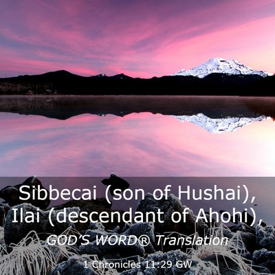 Picture 03 - 1 Chronicles 11:29 GW - Sibbecai (son of Hushai), Ilai (descendant of - Bible Verse Picture