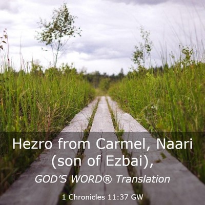 Picture 03 - 1 Chronicles 11:37 GW - Hezro from Carmel, Naari (son of - Bible Verse Picture