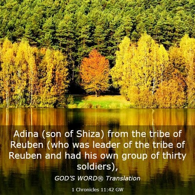Picture 03 - 1 Chronicles 11:42 GW - Adina (son of Shiza) from the tribe of Reuben - Bible Verse Picture