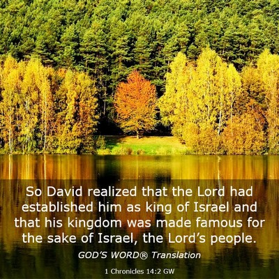 Picture 03 - 1 Chronicles 14:2 GW - So David realized that the Lord had established - Bible Verse Picture