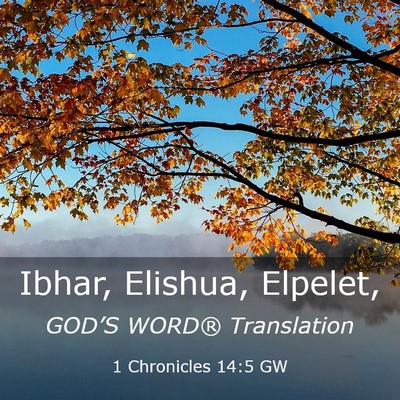 Picture 03 - 1 Chronicles 14:5 GW - Ibhar, Elishua, - Bible Verse Picture