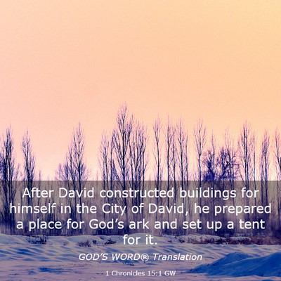 Picture 03 - 1 Chronicles 15:1 GW - After David constructed buildings for himself in - Bible Verse Picture
