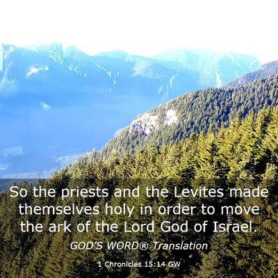 Picture 03 - 1 Chronicles 15:14 GW - So the priests and the Levites made themselves - Bible Verse Picture