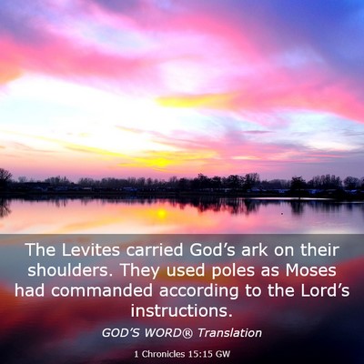 Picture 03 - 1 Chronicles 15:15 GW - The Levites carried God’s ark on their - Bible Verse Picture