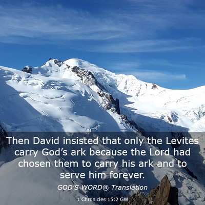 Picture 03 - 1 Chronicles 15:2 GW - Then David insisted that only the Levites carry - Bible Verse Picture