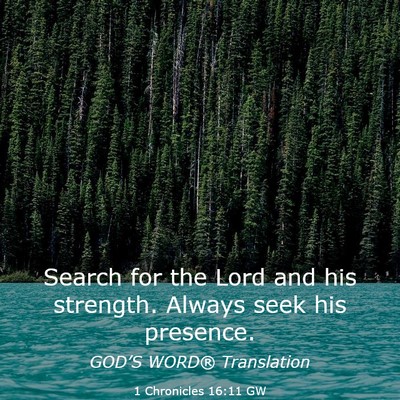 Picture 03 - 1 Chronicles 16:11 GW - Search for the Lord and his strength. Always seek - Bible Verse Picture