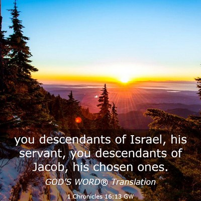 Picture 03 - 1 Chronicles 16:13 GW - you descendants of Israel, his servant, you - Bible Verse Picture