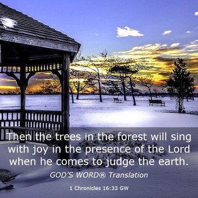 Picture 03 - 1 Chronicles 16:33 GW - Then the trees in the forest will sing with joy - Bible Verse Picture