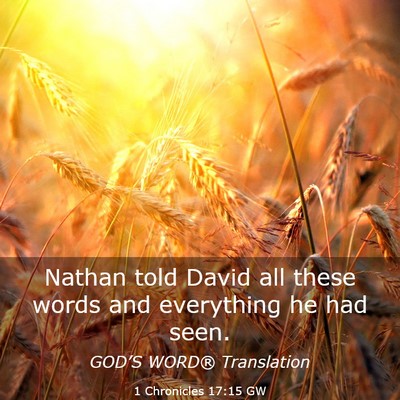 Picture 03 - 1 Chronicles 17:15 GW - Nathan told David all these words and everything - Bible Verse Picture