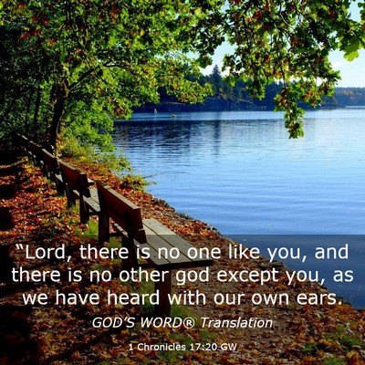 Picture 03 - 1 Chronicles 17:20 GW - “Lord, there is no one like you, and there is - Bible Verse Picture