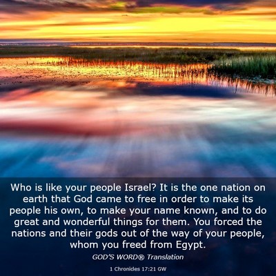 Picture 03 - 1 Chronicles 17:21 GW - Who is like your people Israel? It is the one - Bible Verse Picture