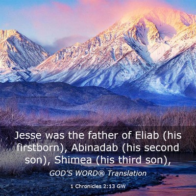 Picture 03 - 1 Chronicles 2:13 GW - Jesse was the father of Eliab (his firstborn), - Bible Verse Picture