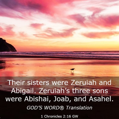 Picture 03 - 1 Chronicles 2:16 GW - Their sisters were Zeruiah and Abigail. - Bible Verse Picture